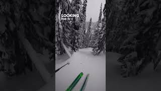 Follow for more powder skiing content  revelstoke skibum skiingislife revelstoke revelstoked [upl. by Cartwright35]