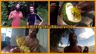 WELCOME TO OUR CHANNEL SWEET NATURAL LIVING TRAILER [upl. by Aicirtal]