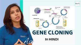 Gene Cloning technique Part 1  Steps involved in gene cloning Explained  In Hindi [upl. by Isnyl]