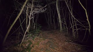 4K・Walking at night in Aokigahara forest no pranks not scary ASMR [upl. by Persis]