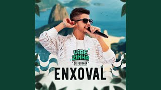 Enxoval Vibezinha do Ferinha [upl. by Arretahs957]