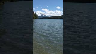 Discover the Untouched Beauty of Maligne Lake in jasper alberta malignelake jaspernationalpark [upl. by Duthie]