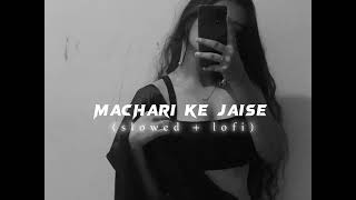 Tadpe jawani  machari ke jaise tadpe jawani  slowed  reverb [upl. by Gerick]