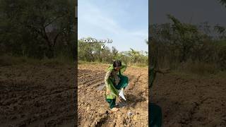 A day as an “Agriculture Student” 😱🍀yonickvlogs youtubeshorts viralvideo trand agriculture💢 [upl. by Enneicul654]