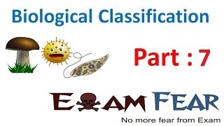 Biology Biological Classification part 7 Heterotrophic Eubacteria pathogens CBSE class 11 XI [upl. by Rahman]