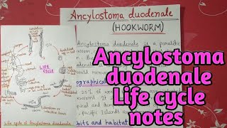 Hookworms Ancylostoma duodenale amp Necator americanus  Hookworm Causes Diagnosis amp Treatment [upl. by Winfred]