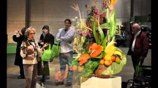 2012 Philadelphia International Flower Show  Arrangements and Pressed Flowers [upl. by Hsatan]