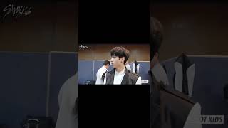 Quokka vs Kangaroo bangchan 방찬 hanjisung 한지성 straykids 스트레이키즈 skz [upl. by Dnumde]