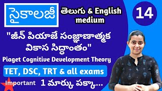 Piagets Cognitive Development Theory in Telugu amp English Psychology classes in Telugu for TET DSC [upl. by Eloci]