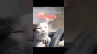 Drift autocat 🤣🤣🤣 [upl. by Anwahs]