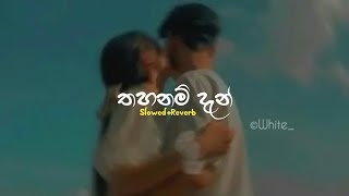 Thahanam Dan  තහනම් දැන්  SlowedReverb [upl. by Yeleen]