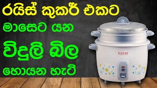 රයිස් කුකර් එකට යන විදුලි බිල  How much is the electricity bill for the rice cooker [upl. by Raskind693]