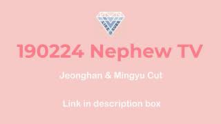 INFO ENG SUB 190224 Nephew TV In My Hands  Jeonghan amp Mingyu CUT 1 LINK IN DESCRIPTION [upl. by Gotthelf608]