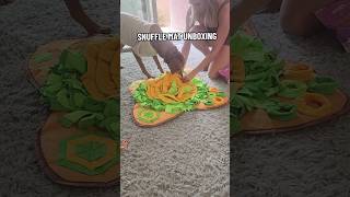 snuffle mat for dogs [upl. by Nnylak]