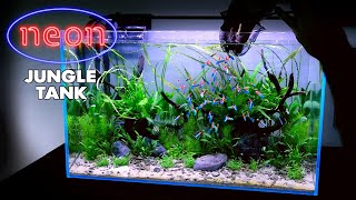 Aquascape Tutorial NEON TETRA Jungle Aquarium How To Non co2 Planted Tank Step by Step Guide [upl. by Imtiaz12]