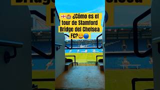 Tour por el Stamford Bridge estadio del Chelsea FC chelseafc stamfordbridge colepalmer ucl [upl. by Nettirb]