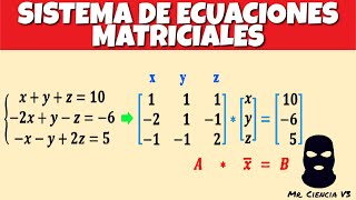 SISTEMA DE ECUACIONES MATRICIALES [upl. by Soracco]