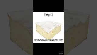 Proving cheese can get 500 subs day 8  NEW CHEESEEFFECT [upl. by Neenahs]