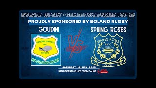 Goudini vs Spring Roses  Gemeenskap skild [upl. by Odranar388]