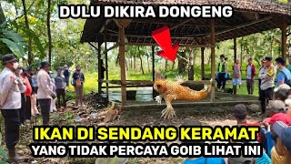 GEGER  Setelah PILKADA Muncul Ikan Penunggu Sendang Keramat Bentuknya Aneh [upl. by Dierolf]