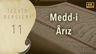 Tecvid Dersleri 11  Meddi Arız  Mehmet Emin Yiğit [upl. by Ednil]