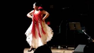 Flamenco  MIT Elena Andujar [upl. by Harrison]