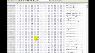 Reverse Engineering 101  Using A Hex Editor To Find Passwords [upl. by Hauger]