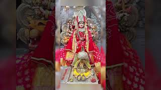 Dharti gagan me hoti hai teri ☀️🌹🌺trending durgapuja shorts shortfeed bhajan mataranibhajans [upl. by Kauslick]