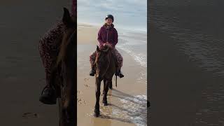 Horse Riding in South Africa [upl. by Costanza]