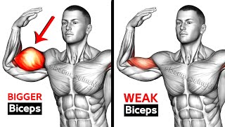 7 BEST Exercises for BIGGER BICEPS [upl. by Esaertal]