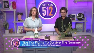 Help Your Plants Survive Summer With Tips From Barton Springs Nursery [upl. by Effie226]