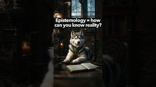 What is epistemology researchmethods research shorts shortvideo learning philosophy [upl. by Diella495]