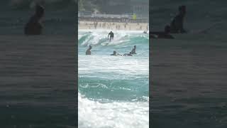 Bondi Surfing Sydney Part 3 [upl. by Ricketts926]