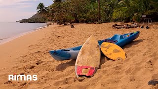 Bad Bunny  Neverita 360° Visualizer  Un Verano Sin Ti [upl. by Aznecniv834]