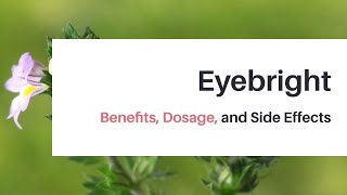 Eyebright Benefits Dosage and Side Effects [upl. by Odnanreh325]