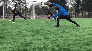 Complete Youth Goalkeeper Training  Fitness Coordination and Handling  Tacoma Washington [upl. by Cyn497]