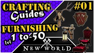 New World Crafting  Furnishing  Leveling Guide 1 to 50 [upl. by Meyer736]