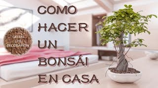 Tutorial Como hacer un bonsái con flores de chaquira y alambre 🌷68 [upl. by Giamo754]