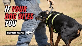 SHOCKING If Your Dog Bites Your Hand Here’s What It REALLY Means 🐾  Dog Behavior Explained [upl. by Nnadroj]