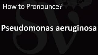 How to Pronounce Pseudomonas aeruginosa CORRECTLY [upl. by Kincaid181]