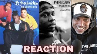 FuSchnickens quotLa Schmoovequot feat Phife Dawg REACTION [upl. by Yrahcaz100]