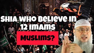 Are Shia who believe in 12 Imams Muslims assim assim al hakeem [upl. by Brittni752]