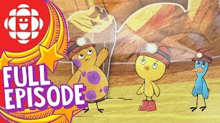 Chirp  Journey to the Cave of Wonders  CBC Kids [upl. by Charbonneau]