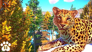 Making a Climbable Habitat for Amur Leopards  EcoZoo  Planet Zoo Franchise Mode Ep28 [upl. by Cyrus273]