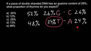 How to find percent of the bases in DNA 2 [upl. by Lipcombe]