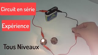 Expérience circuit en série [upl. by Lyrak]