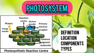 PHOTOSYSTEMPHOTOSYNTHESIS 🍁🌿☘️ [upl. by Samala]