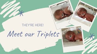 Meet Our Triplets  Name and Gender Reveal [upl. by Arie]