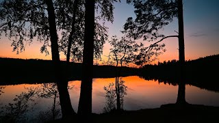 Hiking Vätterleden  The magic forest of Sweden [upl. by Aon]