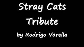 Stray Cats Tribute  Rock This Town  Rockabilly Music [upl. by Atinra651]